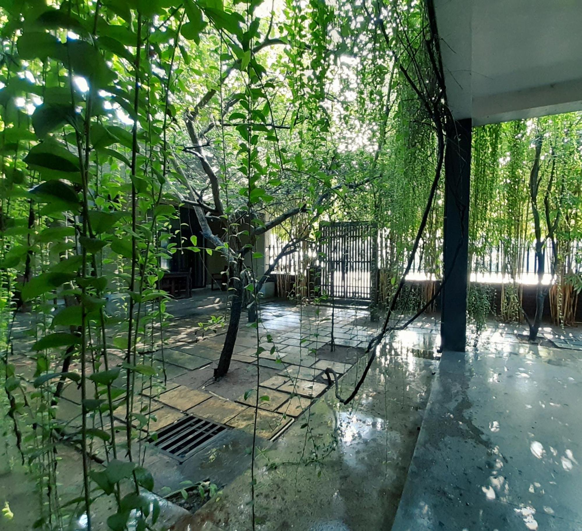 Isi Arana Eco Villa Anuradhapura Exterior foto
